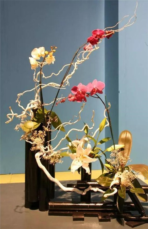 美國費城的盆景與插花藝術展