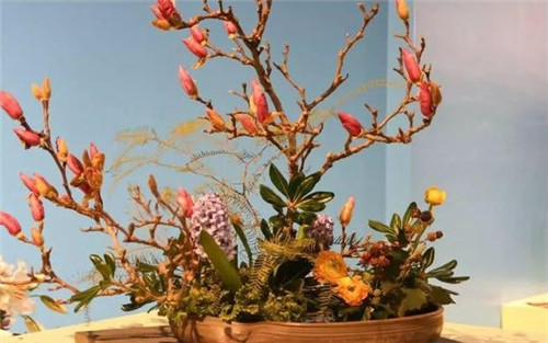 美國費城的盆景與插花藝術展