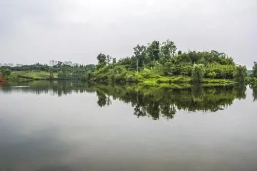 白鷺灣濕地公園如同一幅天然水墨畫卷