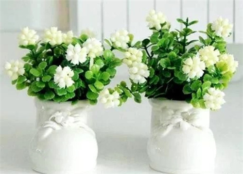 這8種植物是凈化空氣的能手,關(guān)鍵好養(yǎng)活!