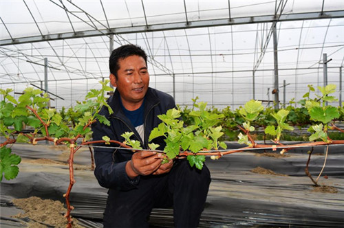 西藏生態(tài)文明建設(shè)：綠水青山入畫