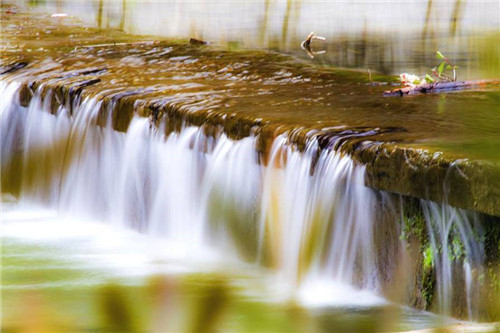 福州森林公園的小溪別有一番景致