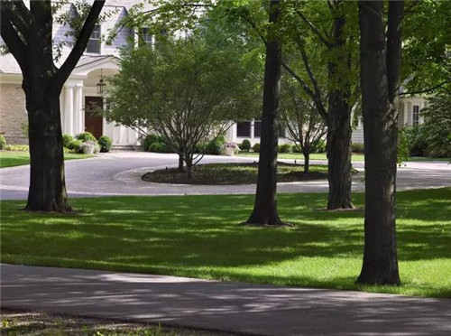 森林中的自然法式莊園景觀