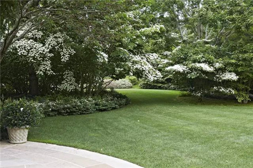 森林中的自然法式莊園景觀