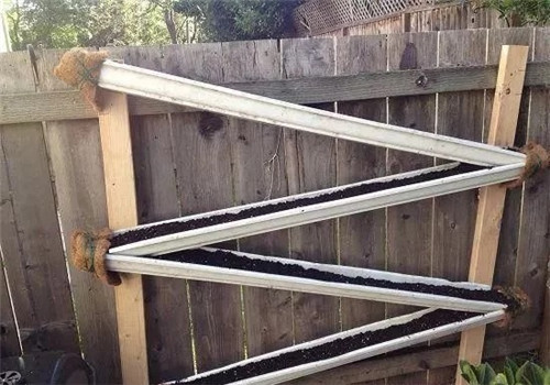 用雨水槽養成垂直的花園、菜園