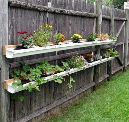 用雨水槽養成垂直的花園、菜園