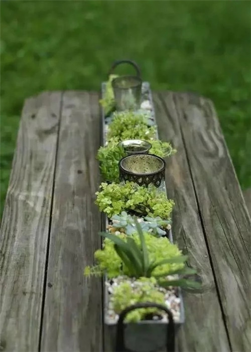 用雨水槽養成垂直的花園、菜園