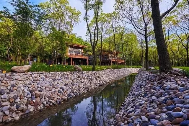 尋一蘇州民宿,臨湖而居,枕溫柔夢鄉