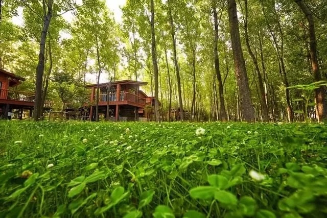 尋一蘇州民宿,臨湖而居,枕溫柔夢鄉