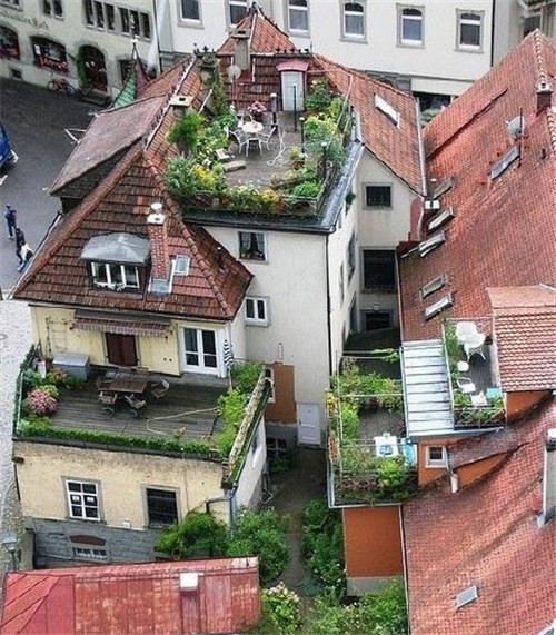 國外絕美屋頂花園和露臺綠植花卉景觀欣賞