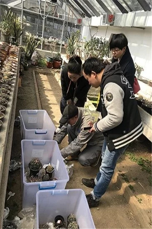 走私查獲的珍稀瀕危植物 送植物園