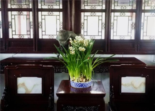 蘇州園林記之環秀山莊——怡園