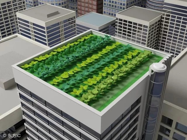 中國和德國屋頂花園發(fā)展對比