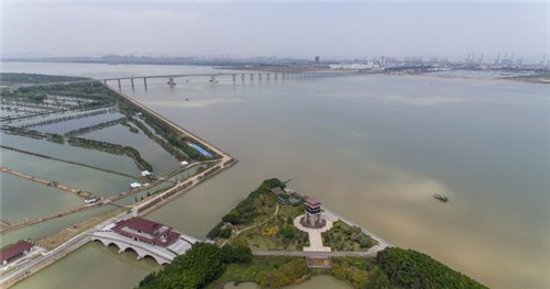 航拍廣州最大的濕地公園——南沙濕地公園