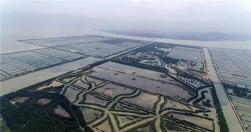 航拍廣州最大的濕地公園——南沙濕地公園