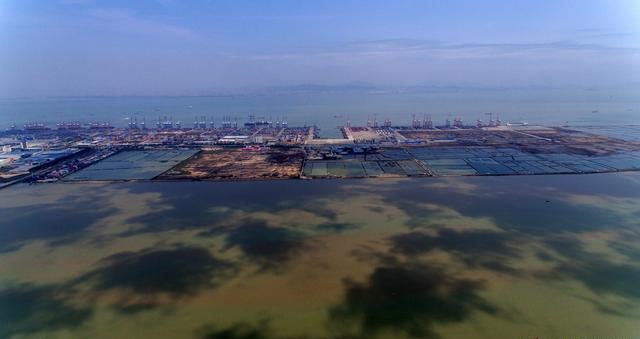 航拍廣州最大的濕地公園——南沙濕地公園