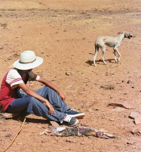 氣候變化將在全球產生哪些影響？