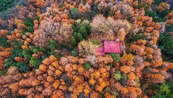 評論：從莫干山民宿發展看中國旅游投資問題