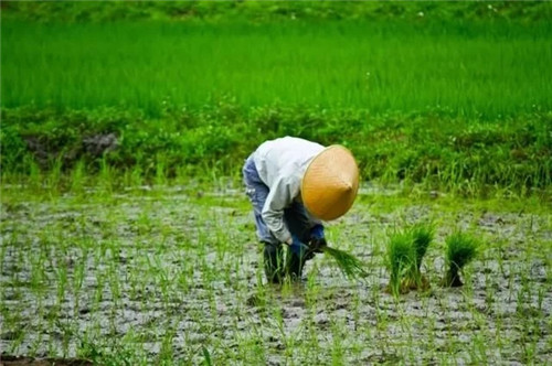 民宿,從“旅游+”到“+旅游”