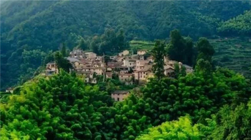 民宿與鄉(xiāng)村碰撞出的鄉(xiāng)愁，要不要嘗嘗看？