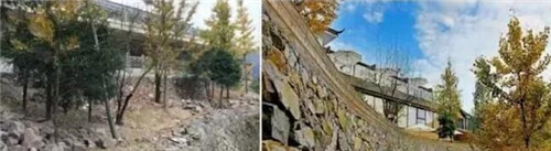 民宿與鄉(xiāng)村碰撞出的鄉(xiāng)愁，要不要嘗嘗看？