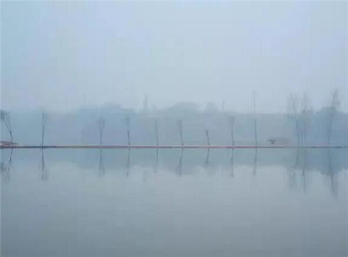 民宿與鄉(xiāng)村碰撞出的鄉(xiāng)愁，要不要嘗嘗看？