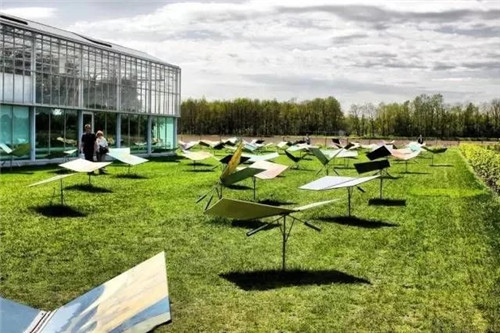 聊聊身邊的景觀草坪