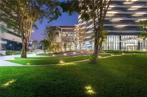 聊聊身邊的景觀草坪