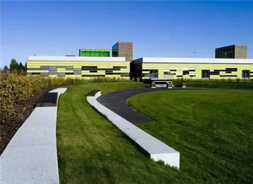 聊聊身邊的景觀草坪