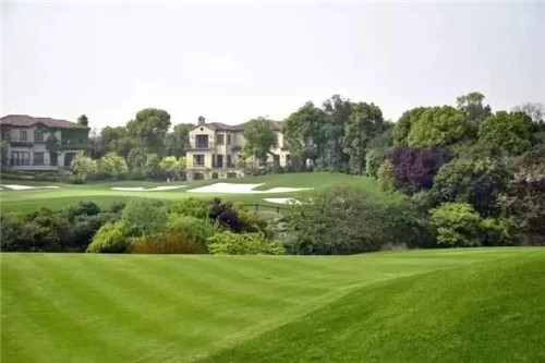 聊聊身邊的景觀草坪