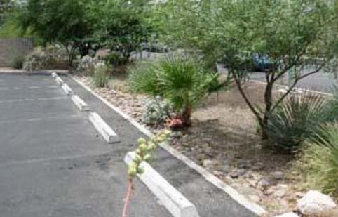 什么是綠色基礎設施?