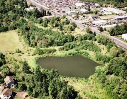 什么是綠色基礎設施?