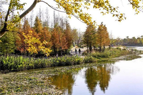 南通生態通廊:城市與自然交融的景觀飄帶