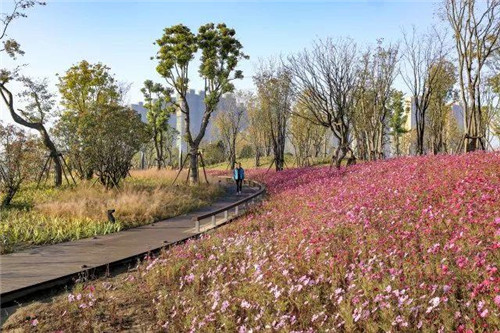 南通生態通廊:城市與自然交融的景觀飄帶