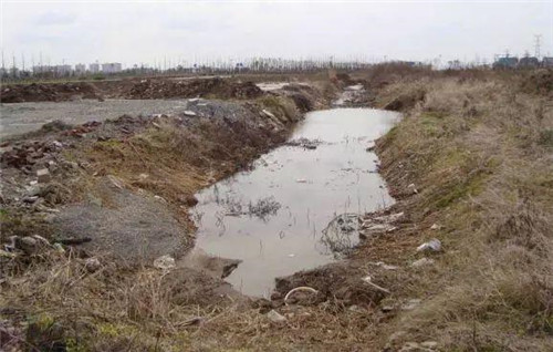 南通生態通廊:城市與自然交融的景觀飄帶