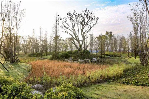 南通生態通廊:城市與自然交融的景觀飄帶