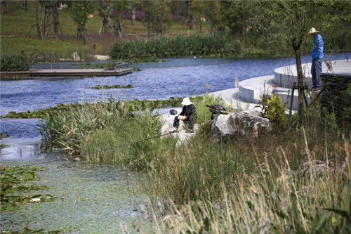 南通生態通廊:城市與自然交融的景觀飄帶