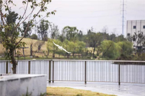 南通生態通廊:城市與自然交融的景觀飄帶