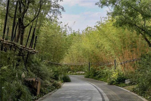 南通生態通廊:城市與自然交融的景觀飄帶