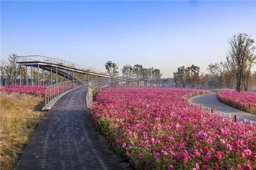 南通生態通廊:城市與自然交融的景觀飄帶