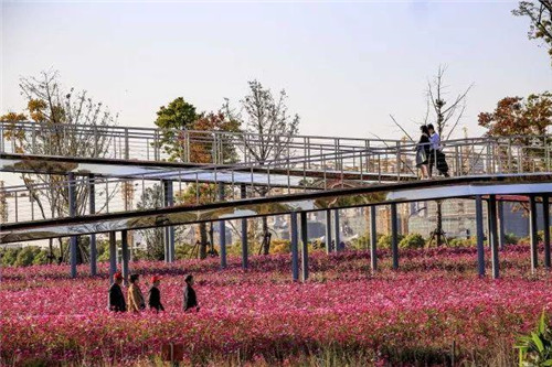 南通生態通廊:城市與自然交融的景觀飄帶