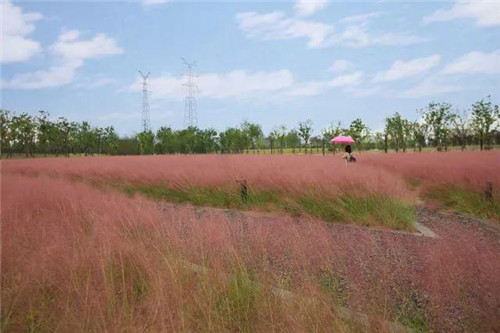 南通生態通廊:城市與自然交融的景觀飄帶