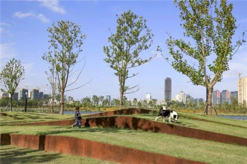 南通生態通廊:城市與自然交融的景觀飄帶