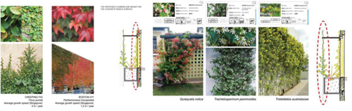 梁達(dá)民:城市規(guī)劃與建筑設(shè)計(jì)的關(guān)系