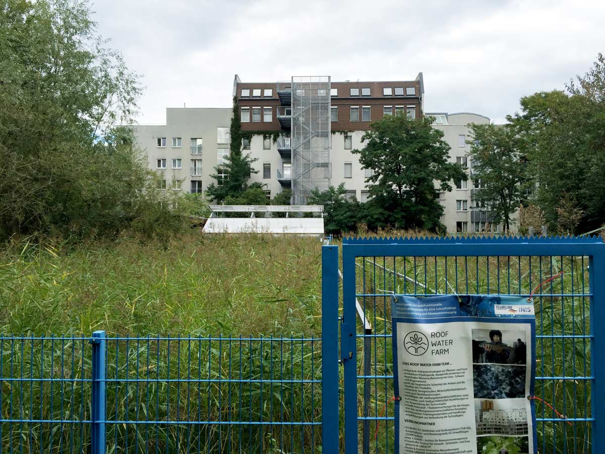 綠色基礎設施和景觀設計的關系