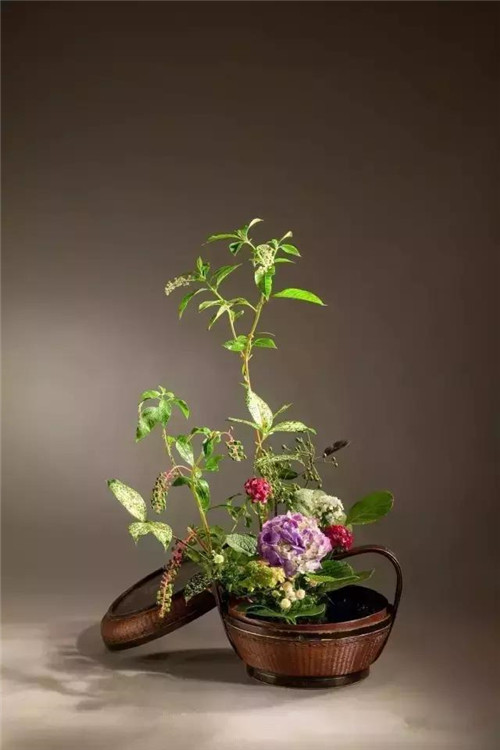 中式插花的“天道”與“地理”