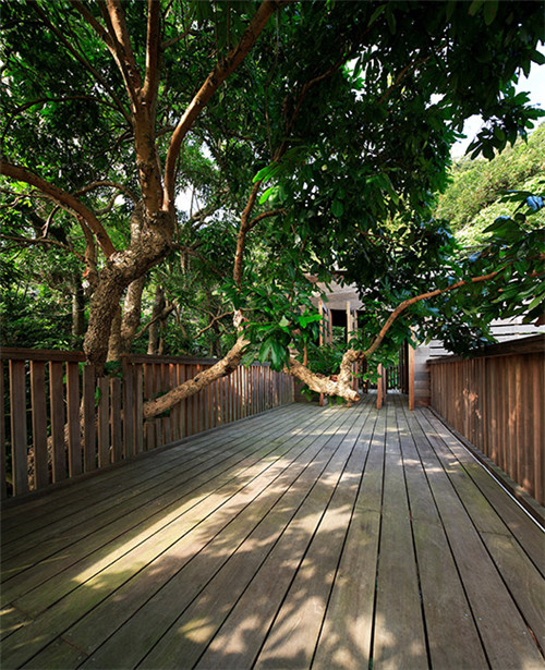 叢林中廢棄農(nóng)舍改造而成的自然住宅