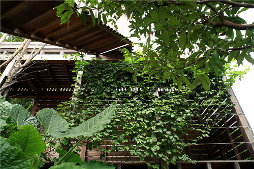 叢林中廢棄農(nóng)舍改造而成的自然住宅