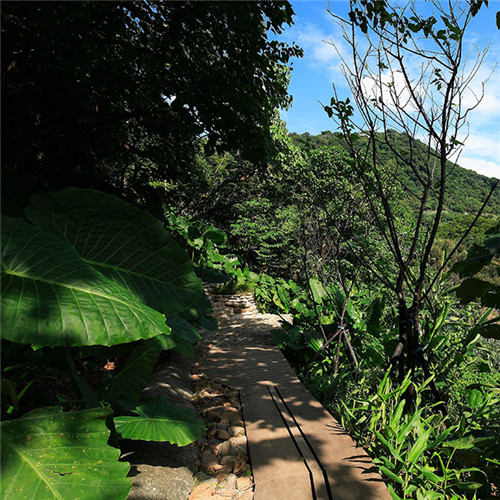 叢林中廢棄農(nóng)舍改造而成的自然住宅