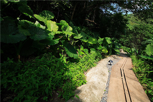 叢林中廢棄農(nóng)舍改造而成的自然住宅